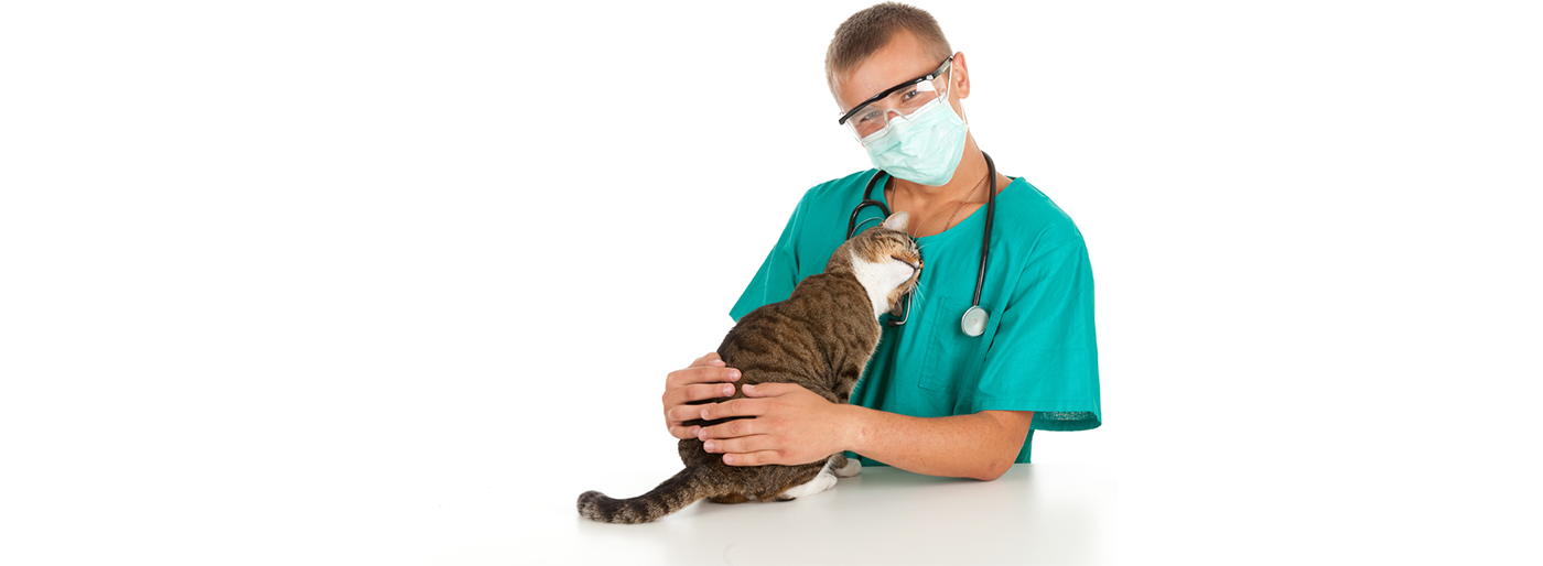 Sherwood Pet Clinic Veterinary in Sherwood, OR